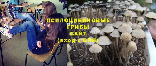 трава Баксан
