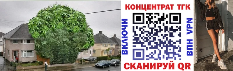 сколько стоит  Баксан  ТГК концентрат 
