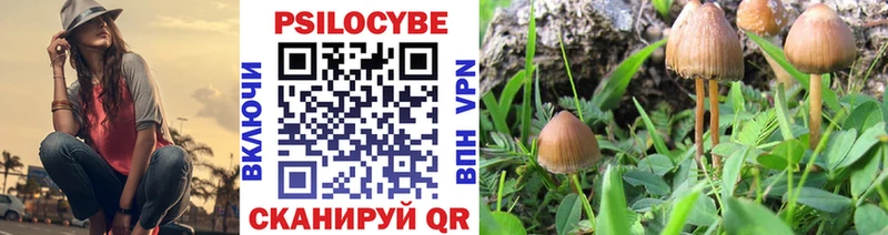 Галлюциногенные грибы Magic Shrooms  Баксан 